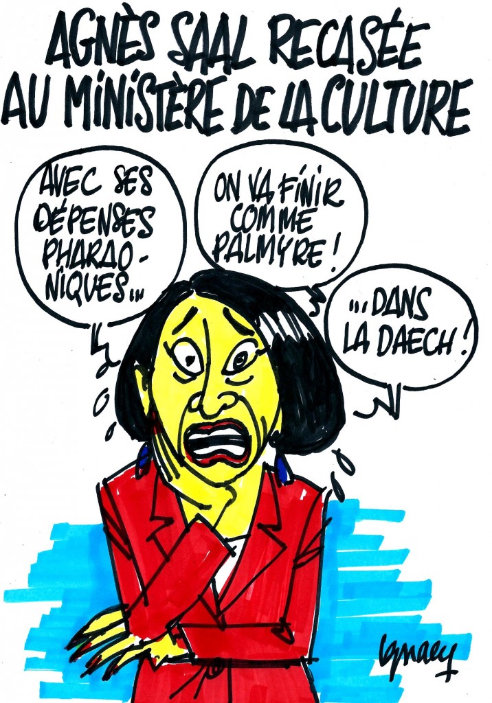 Ignace - Agnès Saal recasée à la Culture