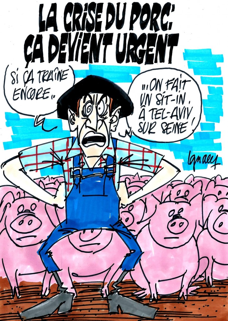 Ignace - Crise du porc : la colère monte