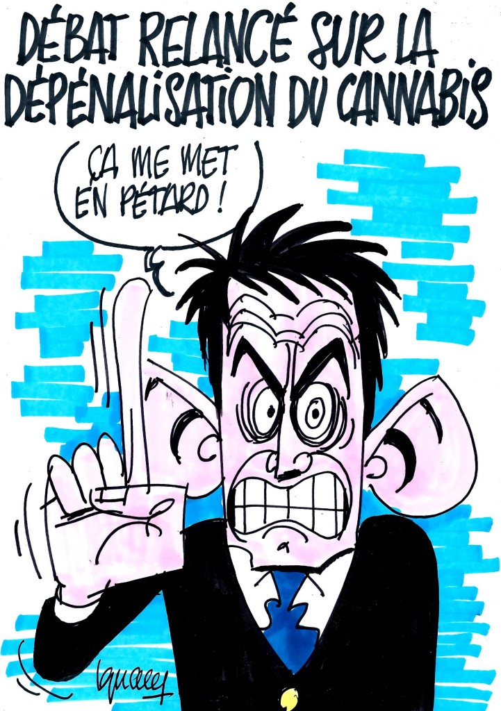 Ignace - Débat sur la dépénalisation du cannabis