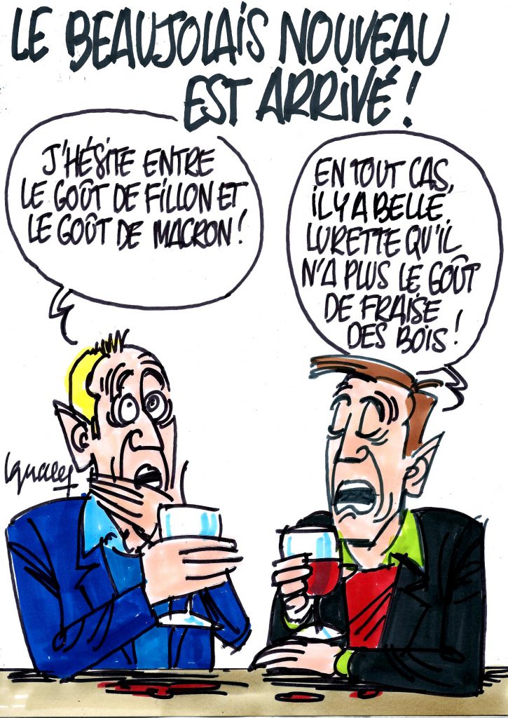 Ignace - Le Beaujolais nouveau est arrivé !