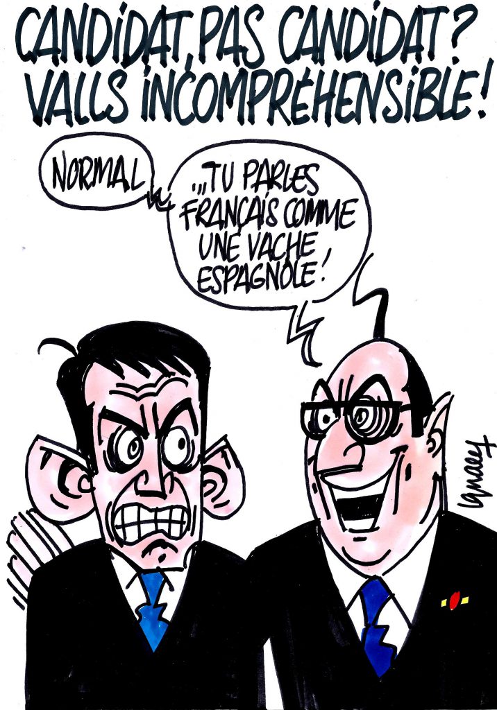 Ignace - Valls candidat ou pas ?