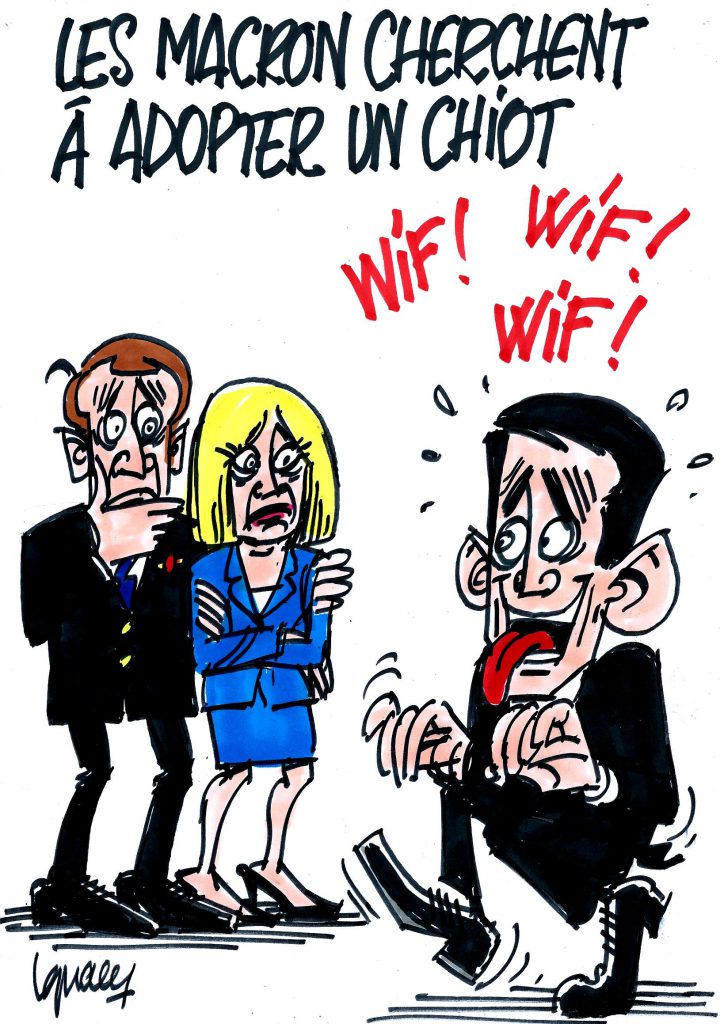 Ignace - Les Macron veulent adopter un chiot