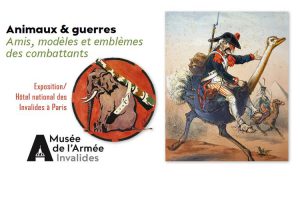 Exposition « Animaux & Guerres » à Paris jusqu’au 9 octobre 2017
