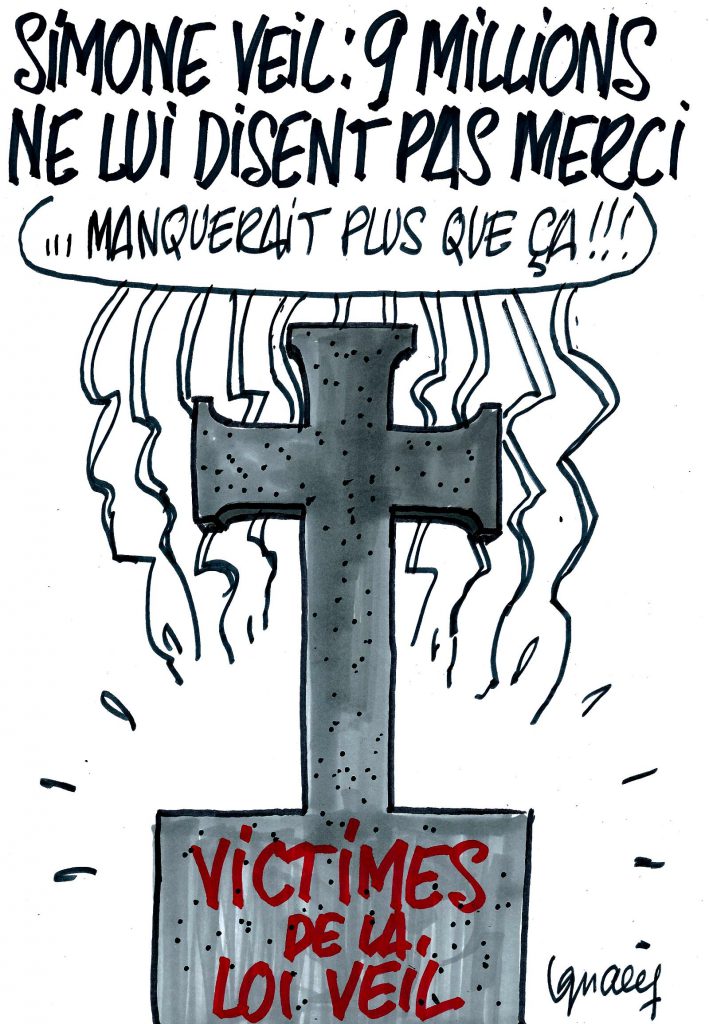 Ignace - Simone Veil n'a pas que des partisans