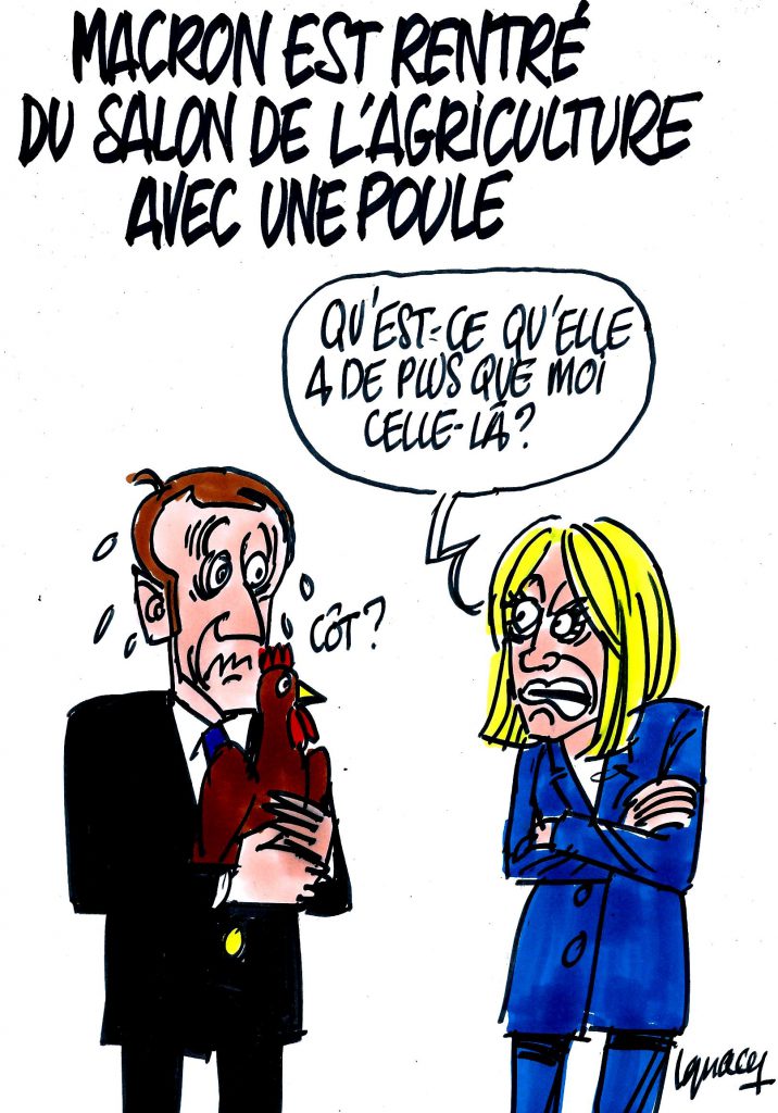 Ignace - Macron va cohabiter avec une poule