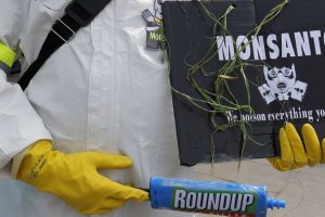 Monsanto condamné à payer 290 millions de dollars à un jardinier