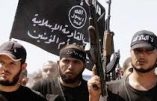 Les islamistes soutenus par François Hollande en Syrie encouragent la « prostitution sacrée »