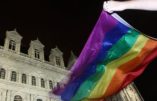 Des manifestants ukrainiens contre un festival de cinéma LGBT