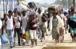 154 demandes d’asile de Sénégalais, enregistrées en France, pour persécution en tant qu’homosexuels