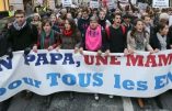Suisse : un enfant a un papa, pas deux, rappelle la Cour suprême