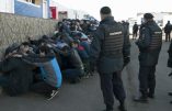 Les tabous immigrationnistes n’ont pas cours en Russie