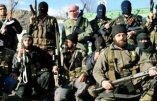 La Révolution syrienne n’est plus belle du tout