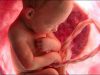 Il y a 10 ans, des fœtus humains servaient à chauffer des hôpitaux !