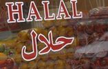 Perpignan – L’abattoir halal orienté vers La Mecque suscite une fronde