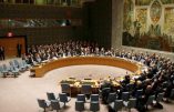 L’Arabie Saoudite veut un siège permanent au conseil de sécurité de l’ONU