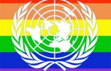 Le Sénégal dit non au mépris culturel dont témoigne l’ONU qui veut imposer unions contre-nature et avortement