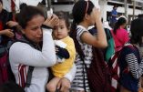 Mission aux Philippines : la rançon du désespoir