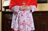 Le Cardinal Burke est bien évincé de la Congrégation des Evêques. Consternation chez les mouvements pro-vie…