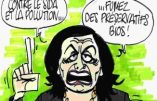 Le Dessin du Jour: Une ancienne d’Act Up à la tête d’EELV
