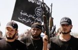 Les djihadistes “belges” de Syrie inquiètent les services de sécurité belges