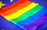 Nouvelles subventions européennes au lobby homosexuel