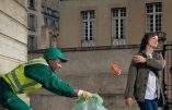 La quenelle de Dieudonné s’inviterait en Mairie et même à la Mairie de Paris ?