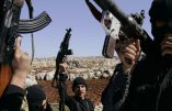 Bientôt, les djihadistes belges en partance pour la Syrie pourront plus difficilement passer par la Turquie