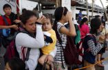 Nouvelles de la mission humanitaire Rosa Mystica à Tacloban