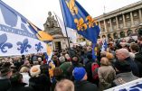 Une centaine de personnes ont rendu hommage à Louis XVI,place de la Concorde, le 21 janvier