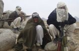 Afghanistan 2018, de nouveau nid du terrorisme islamiste ?