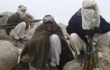 Afghanistan 2018, de nouveau nid du terrorisme islamiste ?