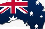 Quand les australiens faisaient la guerre aux émeus… et perdaient