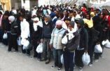 L’immigration en quelques chiffres