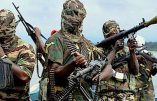 Des islamistes enlèvent une centaine de lycéennes au Nigeria