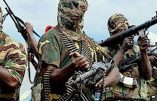 Boko Haram frappe encore le Cameroun en tuant 30 personnes