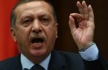 Erdogan, victorieux des municipales, continue de bloquer twitter