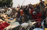 Recrudescence de violences à Bangui en Centrafrique