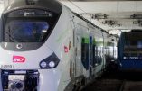 Les TER achetés par la SNCF sont trop larges ! 50 millions d’euros pour modifier les quais !
