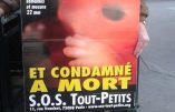 SOS Tout-Petits : reprise des Rosaires pour la défense de la Vie humaine