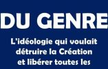 « La théorie du genre sape l’ordre moral » (abbé Berteaux, vidéo)