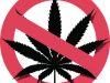 L’automédication au cannabis est associée à des taux plus élevés de dépression et de paranoïa