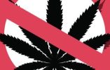 L’automédication au cannabis est associée à des taux plus élevés de dépression et de paranoïa