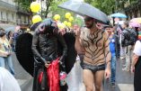 N’argumentez plus contre l’homosexualité : le poids des mots étant interdit, utilisez le choc des photos
