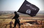 Les djihadistes de l’EIIL ont rétabli le califat islamique sur des territoires syriens et irakiens