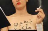 L’ex-Femen Amina Sboui jugée pour “dénonciation mensongère” après une agression imaginaire