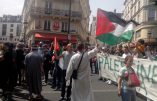 Reportage – Manifestation pro-palestinienne à Paris ou “l’Intifada” à Barbès !