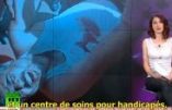 La télé russe dénonce les armes non conventionnelles utilisées par Israël