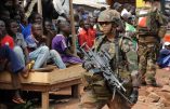 Centrafrique : combats entre forces internationales et ex-rebelles Séléka