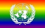 L’ONU dicte l’agenda gay à l’Italie