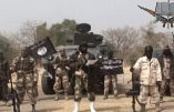 Boko Haram tue près de 150 personnes au Nord du Nigeria
